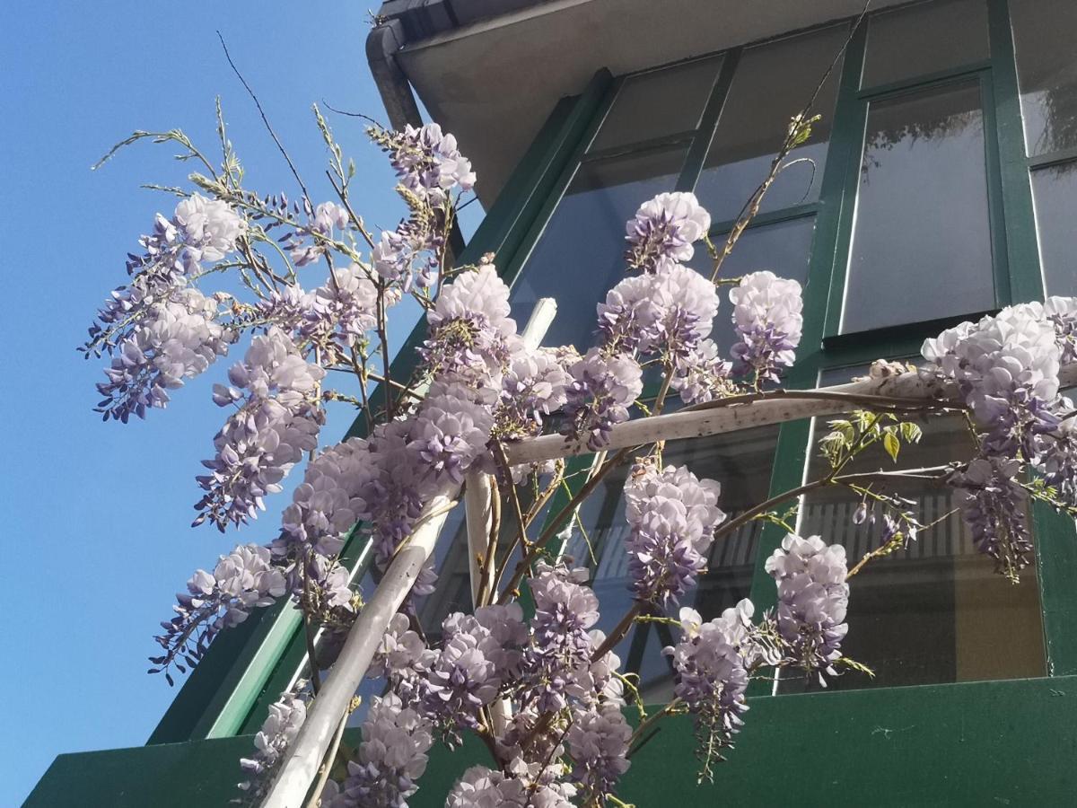 Guidonia Casadei24 아파트 외부 사진